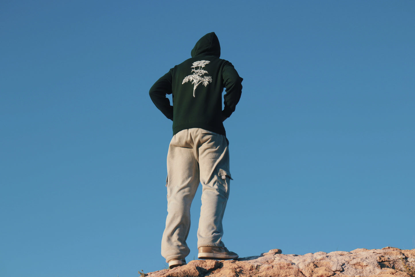Reborn Within Hoodie