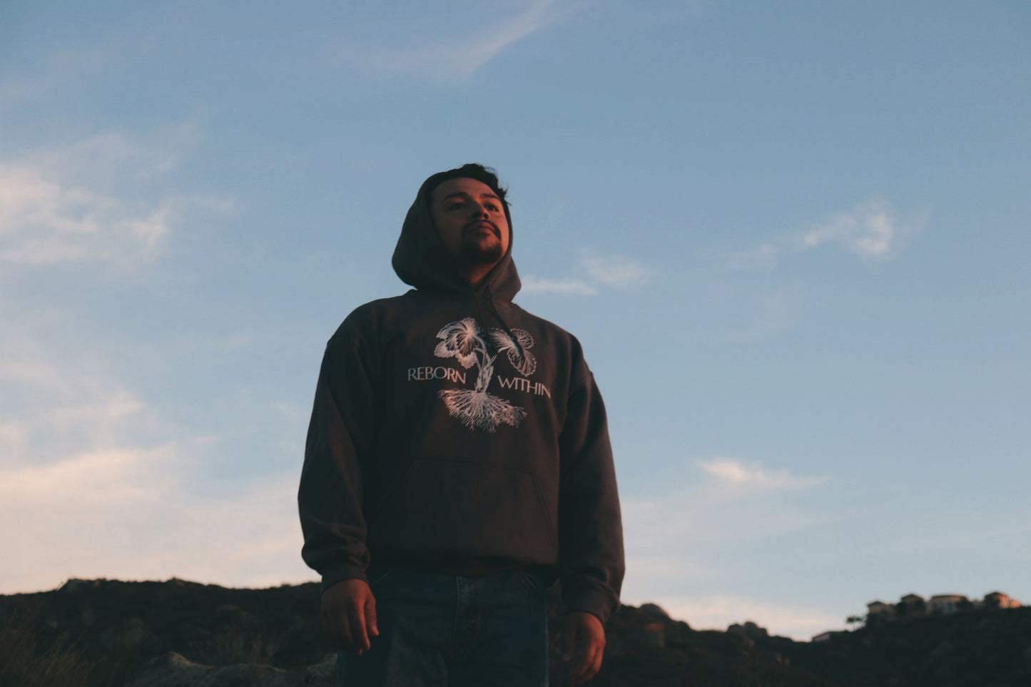 Reborn Within Hoodie
